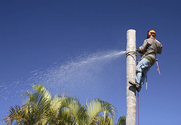 Best Lawn Pest Prevention  in Monroe North, WA